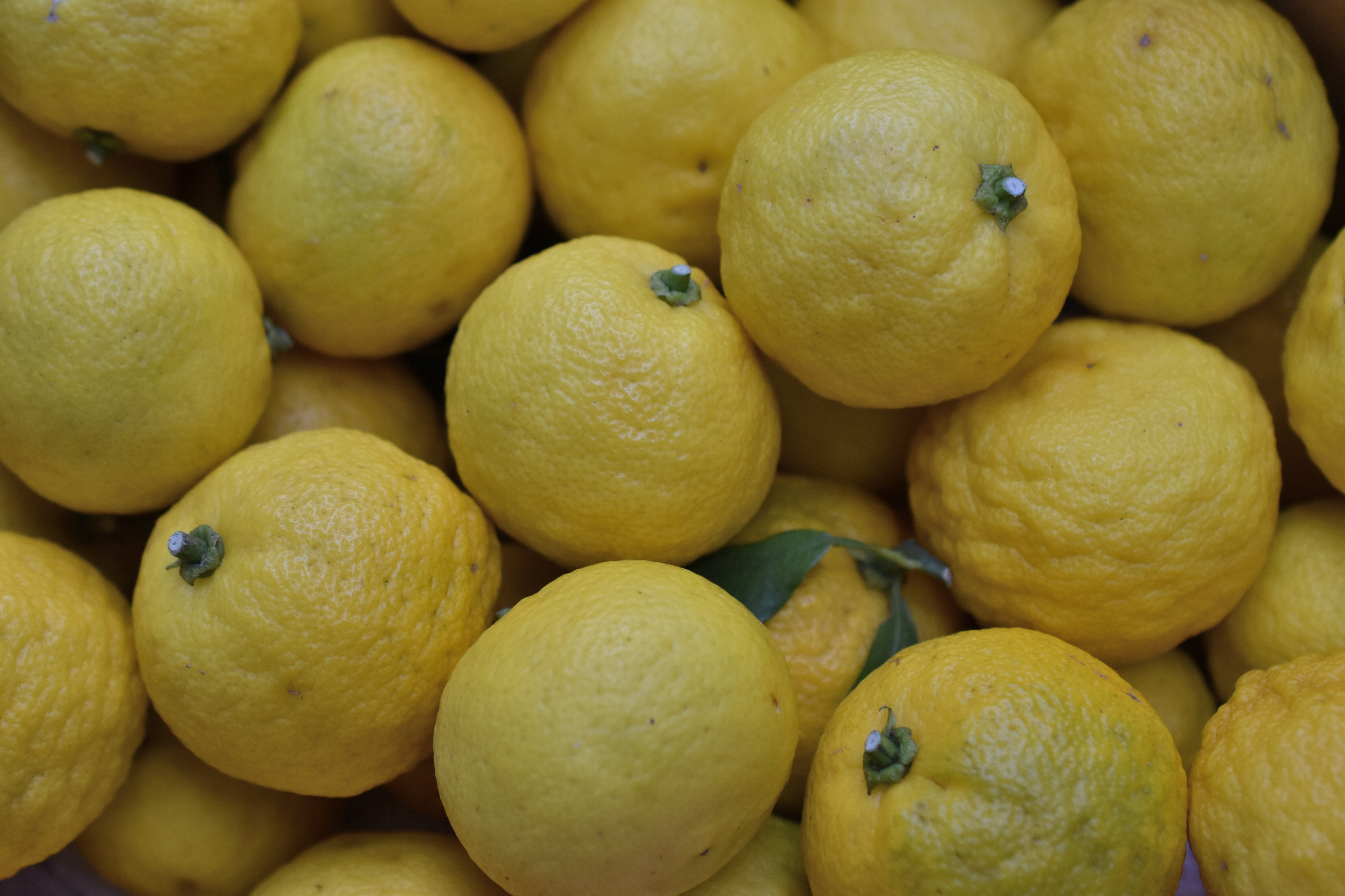 Yuzu lemon