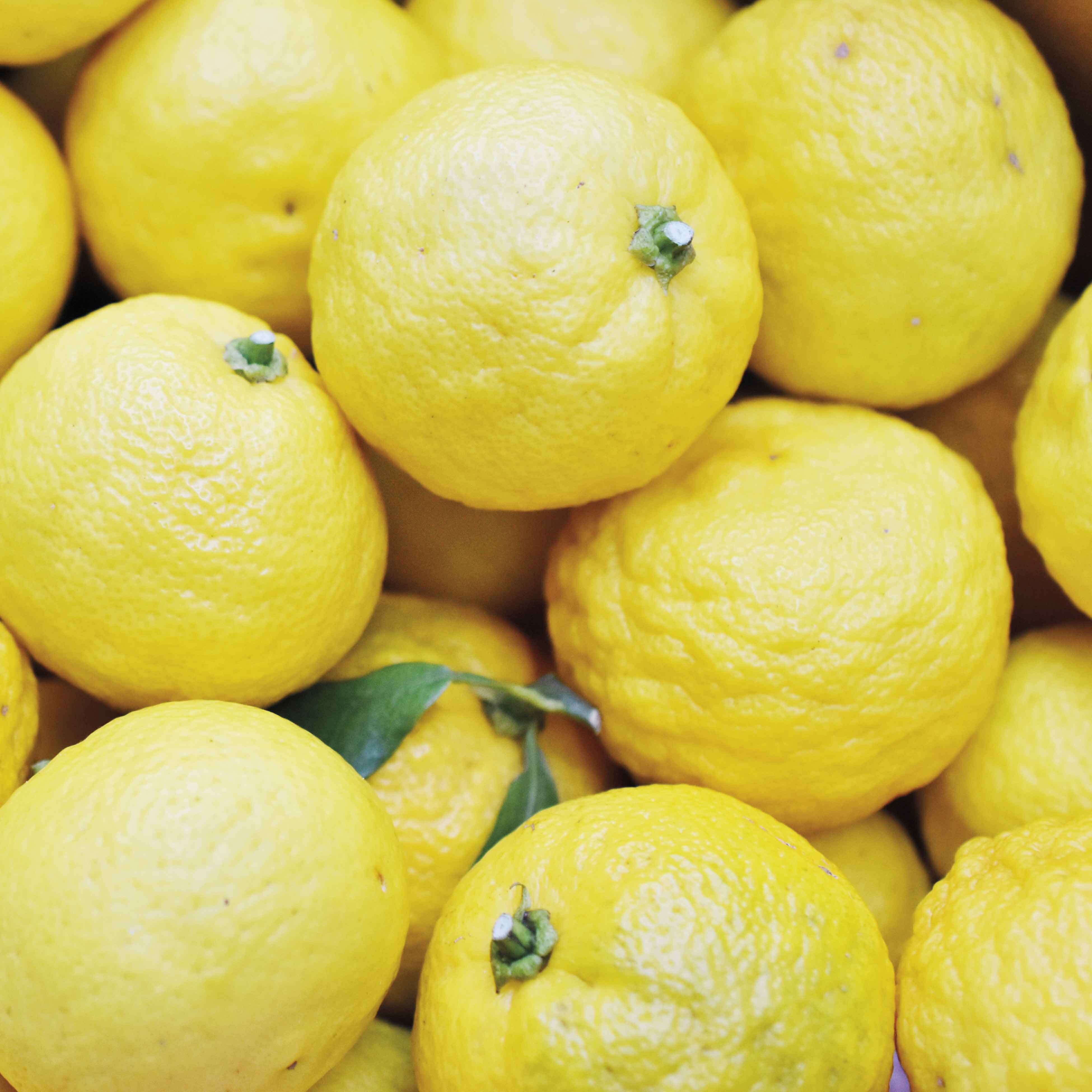 YUZU LEMON